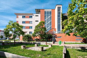 Prodej velkého bytu Plzeň - 9