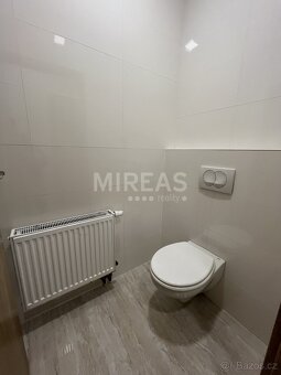 Benátky nad Jizerou, pronájem podkrovního bytu 2+1, 58 m2, o - 9