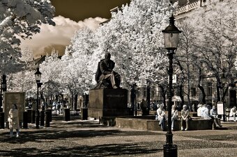 Olympus E-M1 - po IR konverzii 720 nm - 9