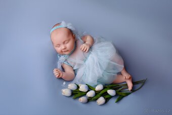 Focení novorozenců Praha a celé ČR, ateliér / doma Newborn - 9