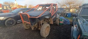 Buggy patrol - 9