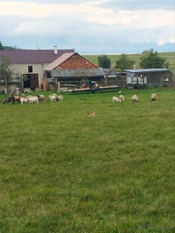 Orná půda oplocená - 9