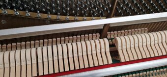 Piano Solton - Renner - 9