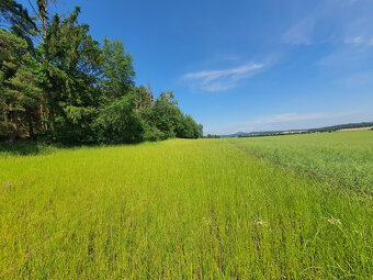 Prodej pozemku v Dubé, Českolipsko. - 9