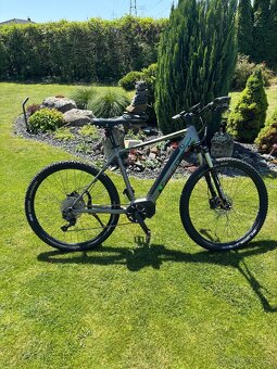 Easybike BIG BOSS - 9