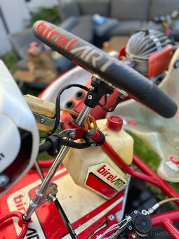 Kart Birel Easykart 60cc - 9