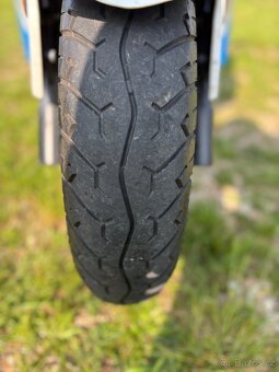 Kentoya maximus 125 - 9