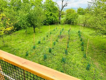 Prodej zahrady s dřevěným Tiny House - 9