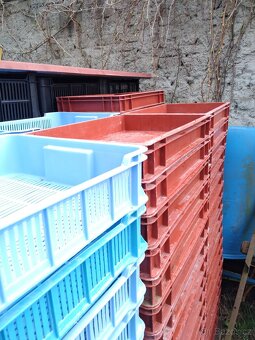 Plastové přepravky OZ ,nízké, barvené - 9