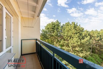 Prodej, byty/4+1, 90 m2, Kubíkova, Líšeň, 62800 Brno-Líšeň [ - 9
