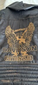 Harley Davidson bunda - 9