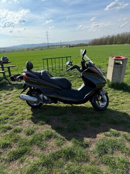 Yamaha Majesty 250 - 9