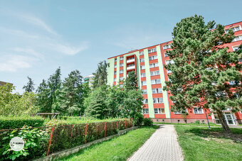 Bytová jednotka 3+1 v obci Krnov - Pod Cvilínem - 9