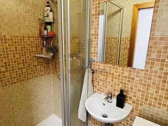 Pronájem bytu 2+kk se střešní terasou, Hodonín - 9