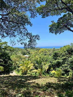 Diamond Rock Resort Lot#A6, Roatan - 9