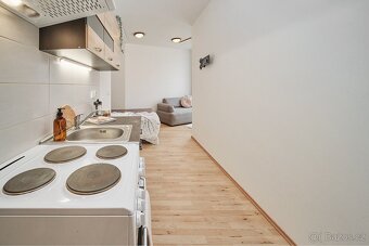 Pronájem bytu 1+kk 21 m2 - 9