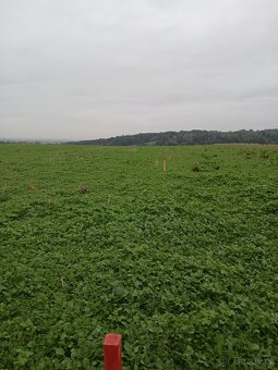 Stavební pozemek 1000m2 ve Vřesině - 9