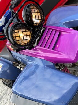 Yamaha YFM 350 Warrior - 9
