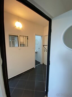 Pronajmu byt 1+1 - 9