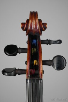 G. TEUCHERT & ARTHUR TEUCHERT 1907 - 9