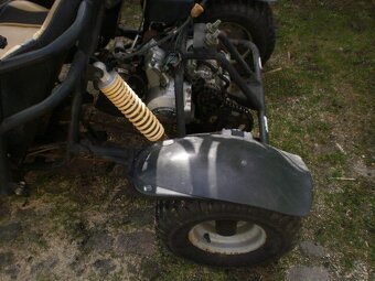 buggy 110 - 9
