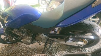Honda Hornet 600 - 9