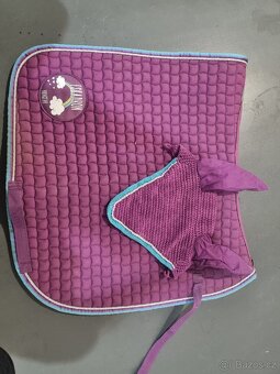 Prodám jezdecký pad a drezurní podsedlovou dečku s čabrakou - 9