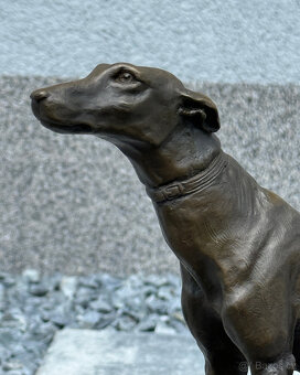 Bronzová socha Greyhound – realistická lovecká figurka psa, - 9