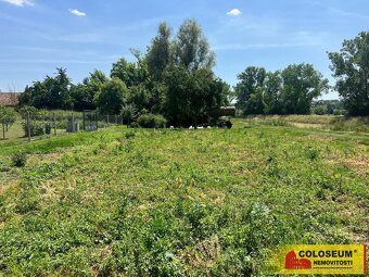 Božice, zahrada, 1119m2, oplocená, elektřina na pozemku - po - 9