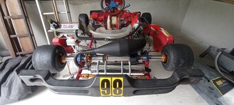 Motokára Birel KZ2 - 9