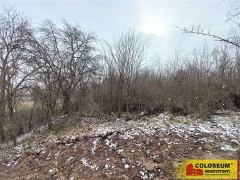 Lysice, zahrada, 2 519 m2 – pozemek, ev.č. E3367BL030 - 9