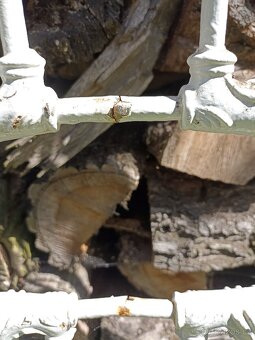 Stará, kovová mřížka s mosaznými prvky - 9