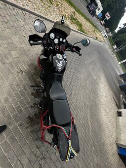 Triumph tiger 955i - 9