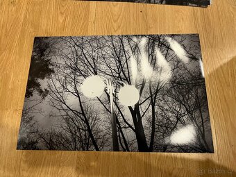 Fotografie černobílé - 9