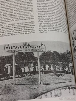 Kniha STO LET JUBILEJNÍ zemské výstavy Augusta a Hozák - 9
