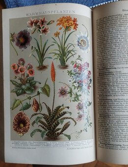 Brockhaus konversations lexikon 13 dilů - 9