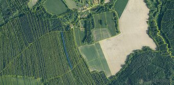 Prodám lesní pozemky v k.ú. Ločenice, p.č. 1452 a 1453 - 9