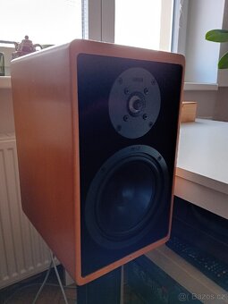 Repro Centr Canton Karat cs-4 - 9