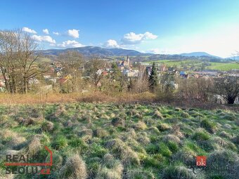 Prodej, pozemky/bydlení, 9446 m2, Janovice, Frýdek-Místek [I - 9