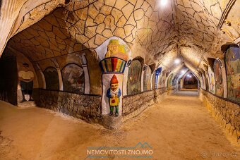 Prodej věhlasné nemovitosti Malovaného sklepa v Šatově, mezi - 9