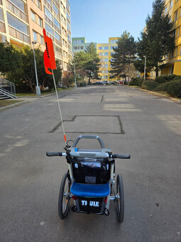 Thule Chariot CX 1 - 9