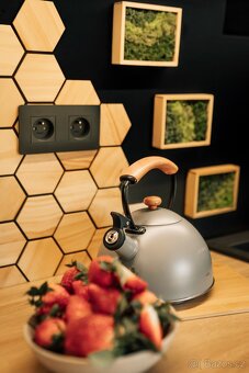 Pronájem obytné dodávky - 9