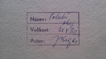 KREJČÍ Jiří: Polabí - 9