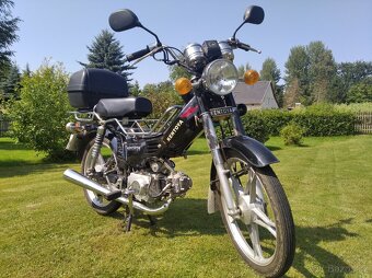 Kentoya Twin Cup 50 4T - 9