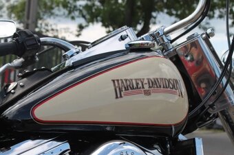 Harley Davidson Heritage Softail Screaming Eagle 1989 - 9