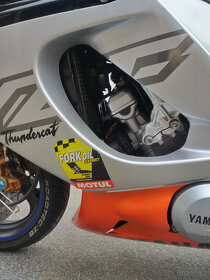 Yamaha YZF600R Thundercat - 9