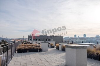 Pronájem bytu s veřejnou terasou, posilovnou a sklepem - 9