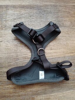 Pro malého pejska - 9