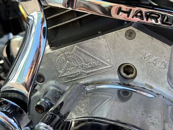 H-D Delkron Evo (1997) - 9