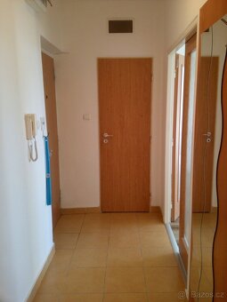 Pronájem bytu 1+1, 39 m2, 7/8 NP, U Kapličky, Orlová Lutyně - 9